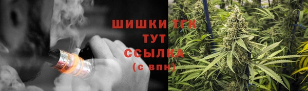амф Белоозёрский
