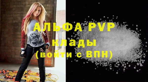 трава Белокуриха
