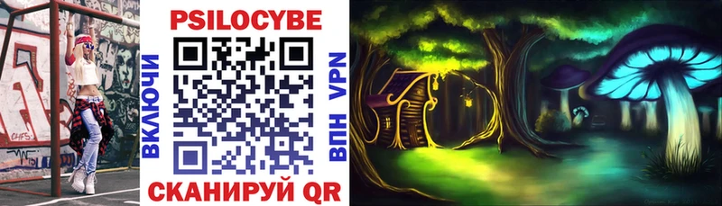 Галлюциногенные грибы Cubensis Плёс